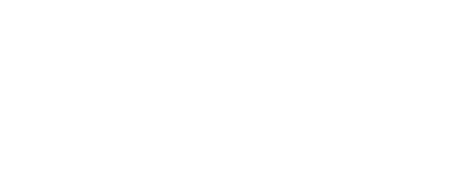Strategy, Management & Business Institute